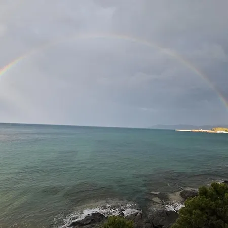 Grifeu Llanca