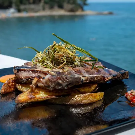 Hotel Grifeu Y Restaurant - Costa Brava 3* Llança